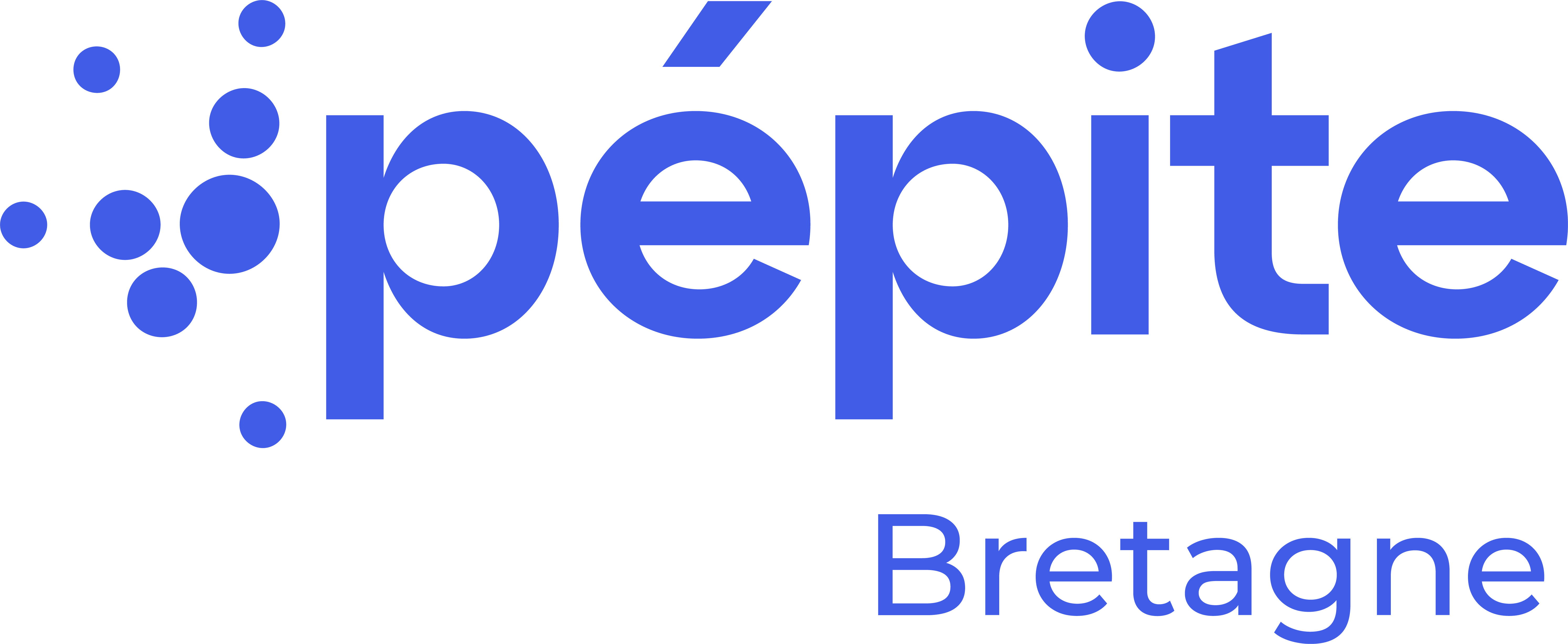 Pepite Bretagne